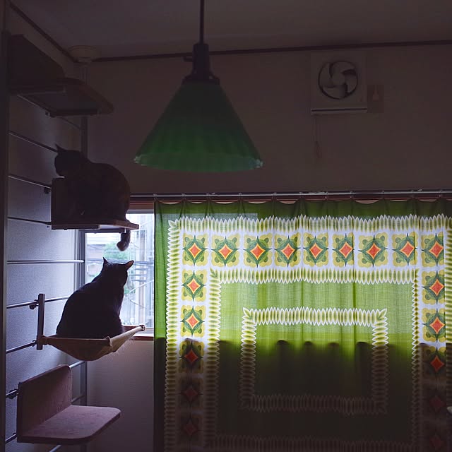 hilaさんの実例写真