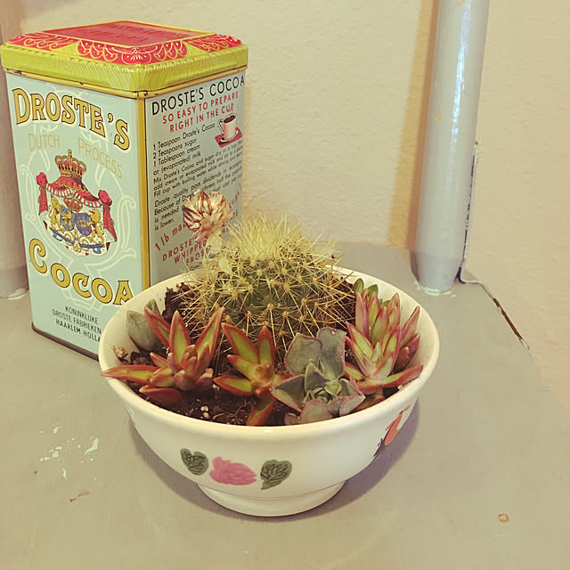 minaさんの実例写真