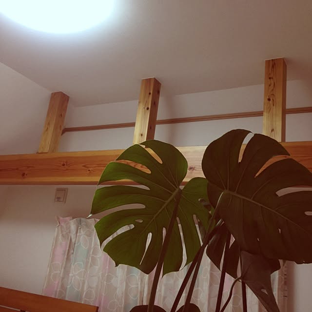 Sachuさんの実例写真