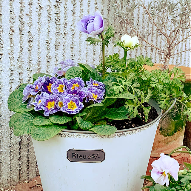 AINIさんの部屋