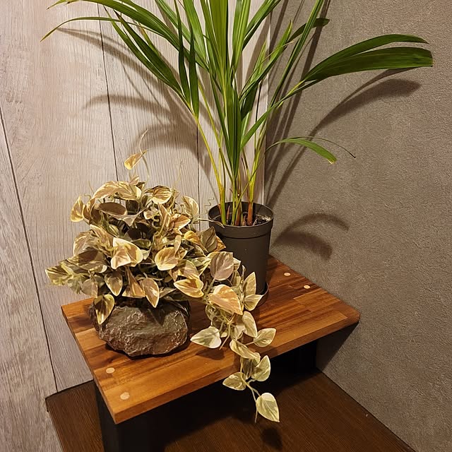 sinさんの部屋