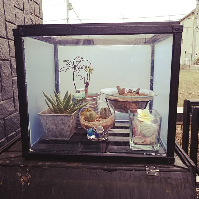 Junさんの実例写真