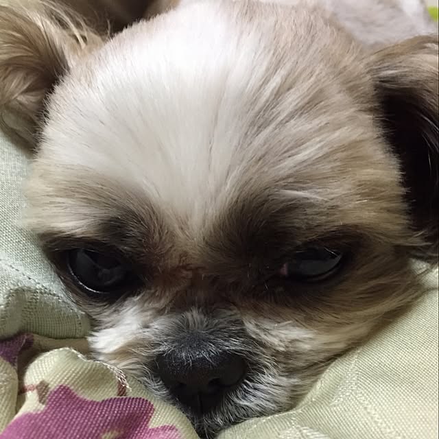 seriaさんの実例写真