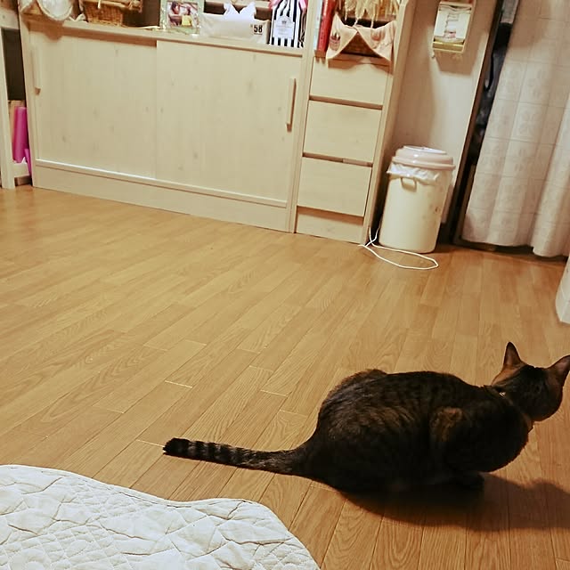chirolさんの実例写真