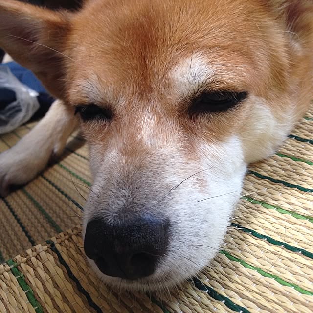 tammyさんの実例写真