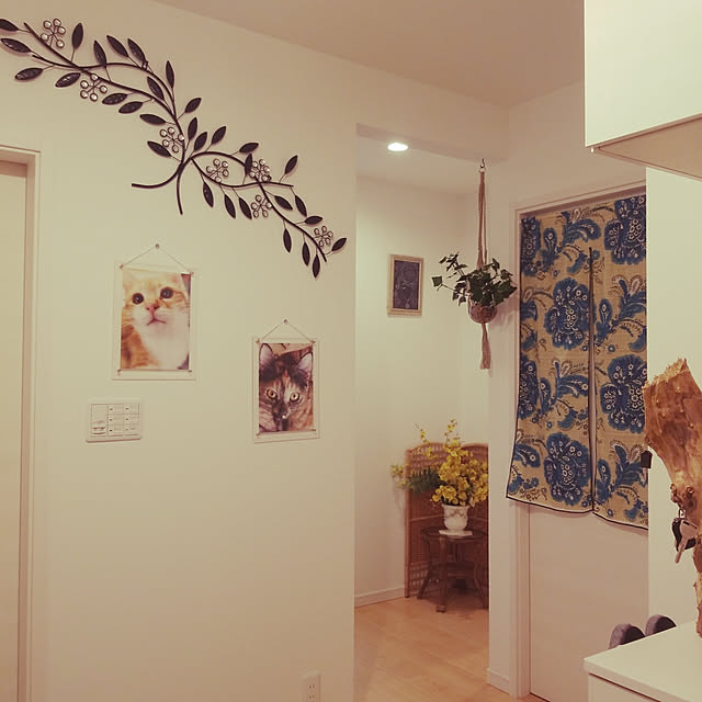 玄関/入り口/いいね♪ありがとうございます(*´∇｀)/ニトリ/客観的に見て、いい部屋にしたい/猫だいすき♡...などのインテリア実例 - 2019-06-30 23:42:20