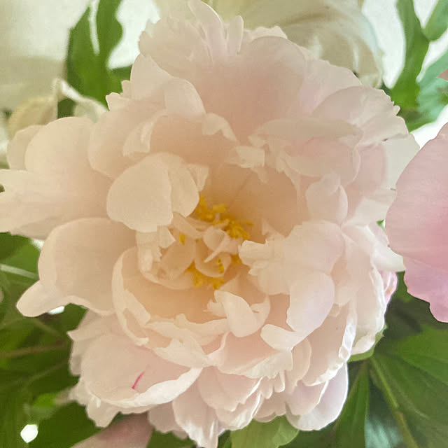 kaoriさんの部屋