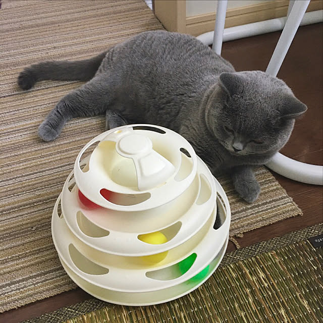 kittyさんの実例写真