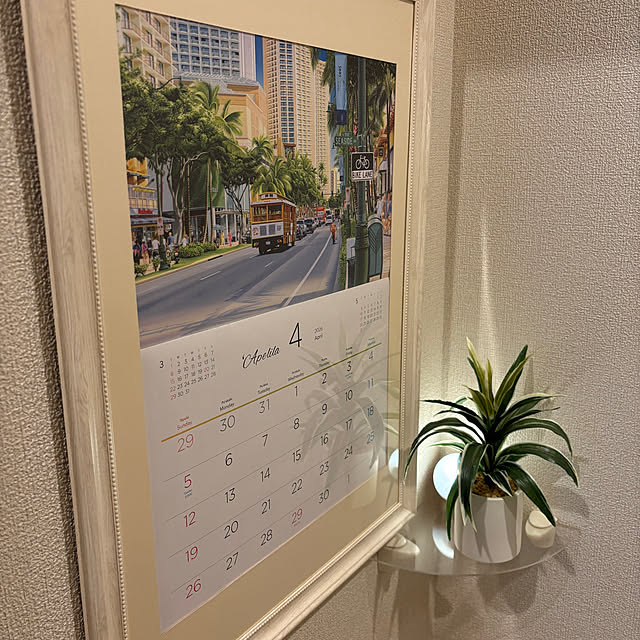 katoさんの実例写真