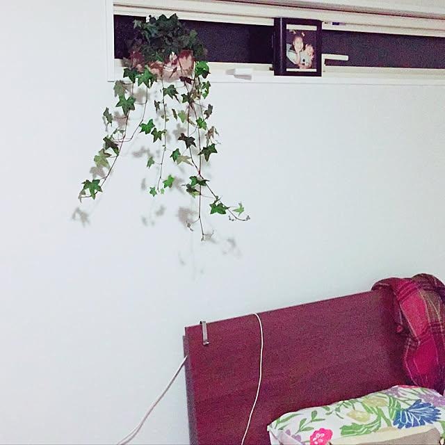 37さんの実例写真