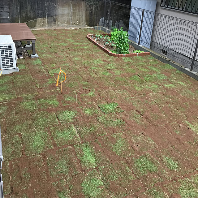 masaさんの実例写真