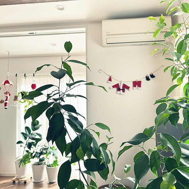 asasouさんの実例写真