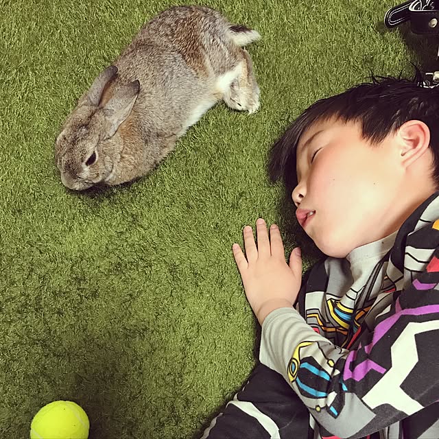 keynoteさんの実例写真