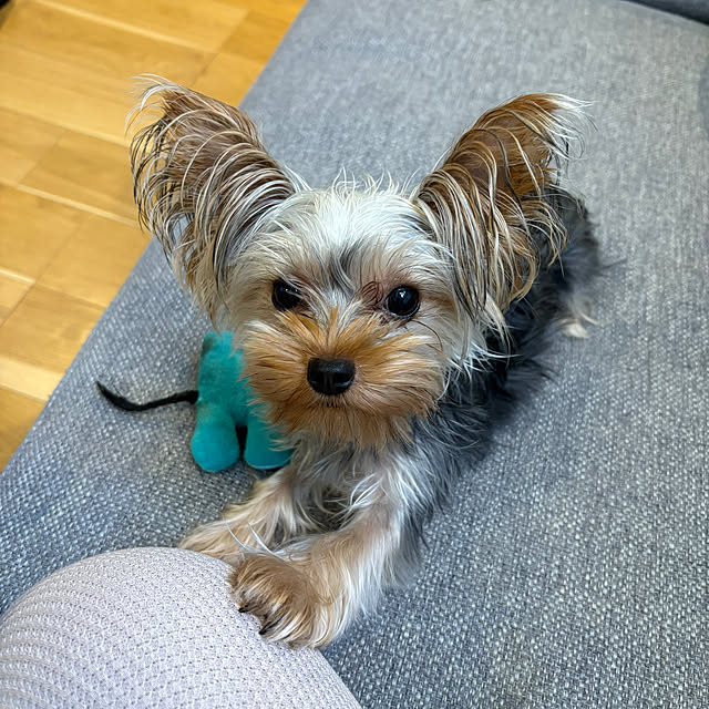 Y33355さんの部屋