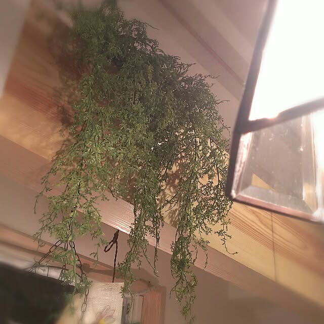 wa-koさんの実例写真