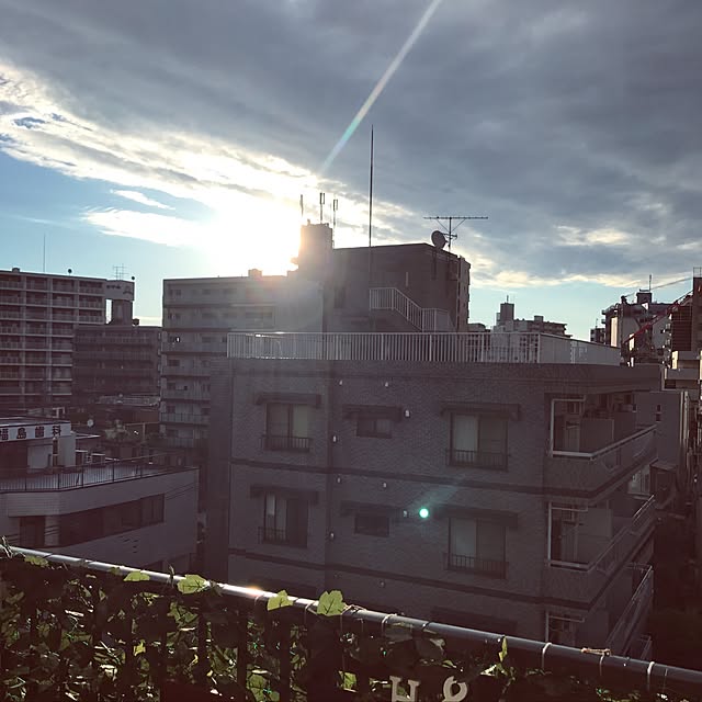 実例写真