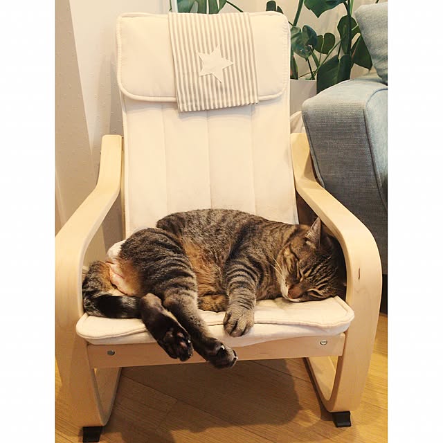 lovecatさんの実例写真