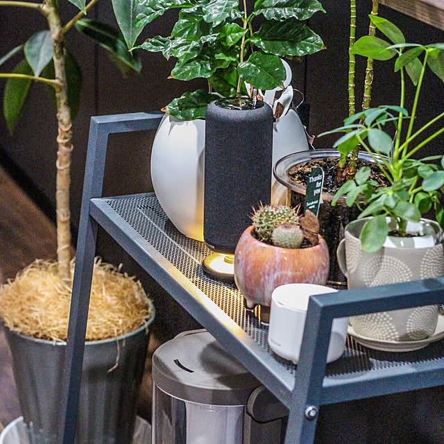 memeさんの実例写真