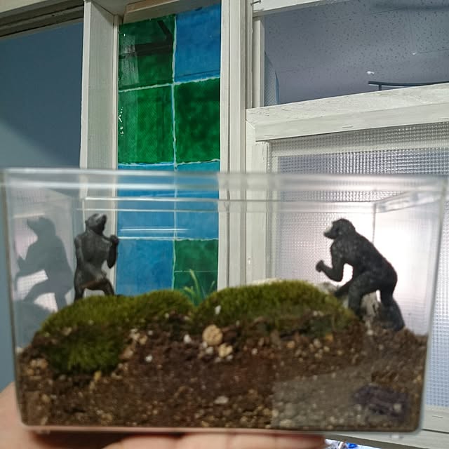 hirokoさんの実例写真