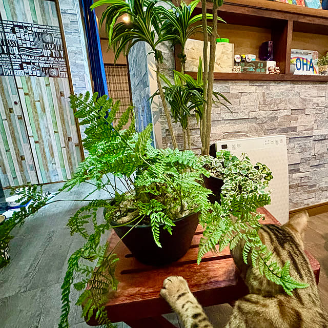 tututu0204さんの部屋