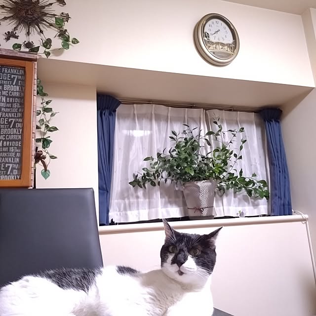 NOAHさんの部屋