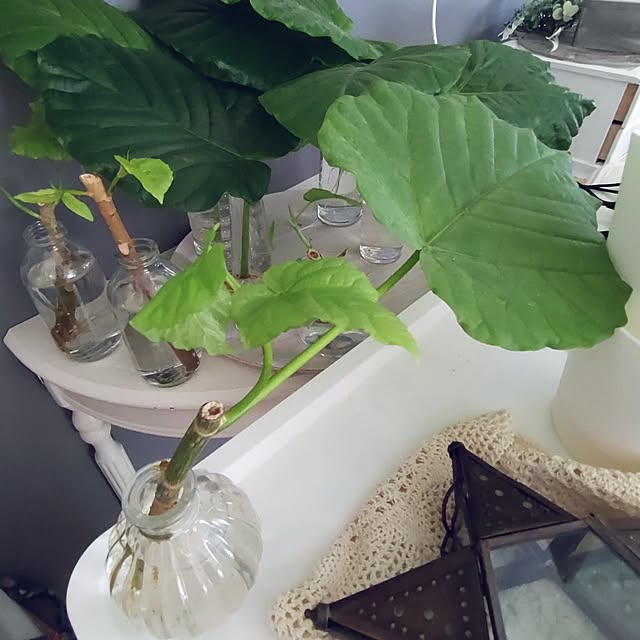 Bienvenueさんの部屋