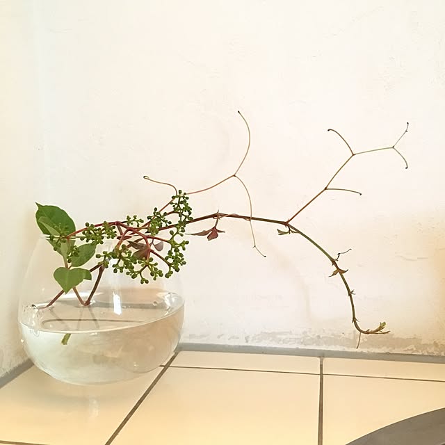 kinekoさんの実例写真