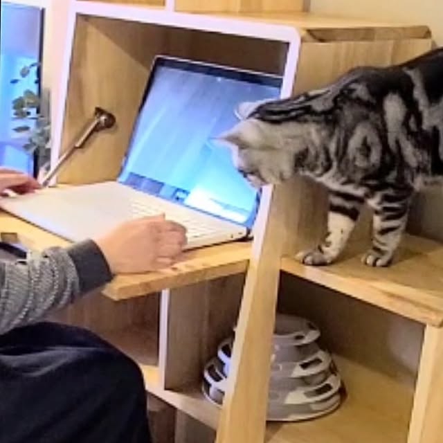 lovepeaceさんの部屋