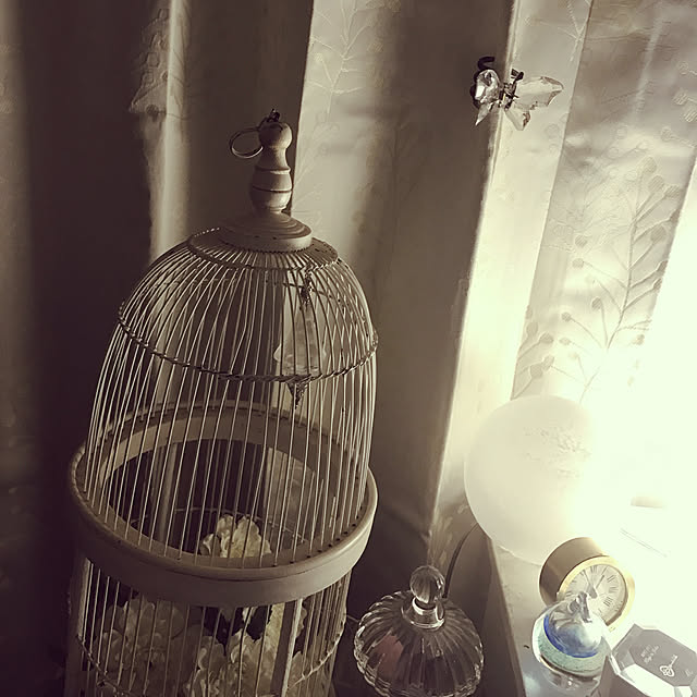 koyukiさんの実例写真