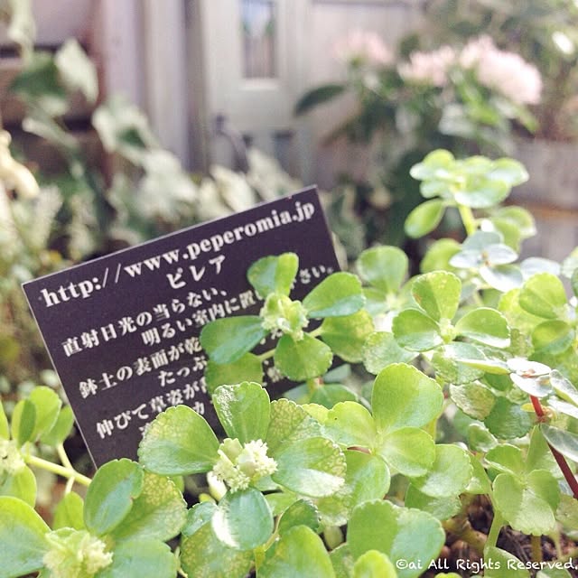 ai.さんの実例写真