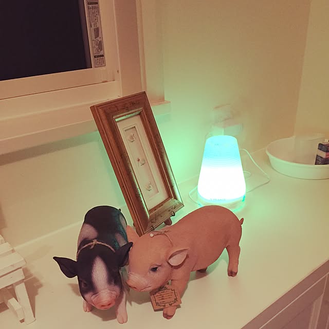 AKIRAさんの実例写真