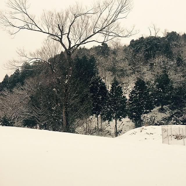 amigeeeeさんの実例写真