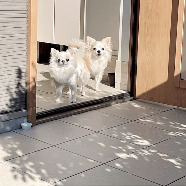 Mihocoさんの実例写真