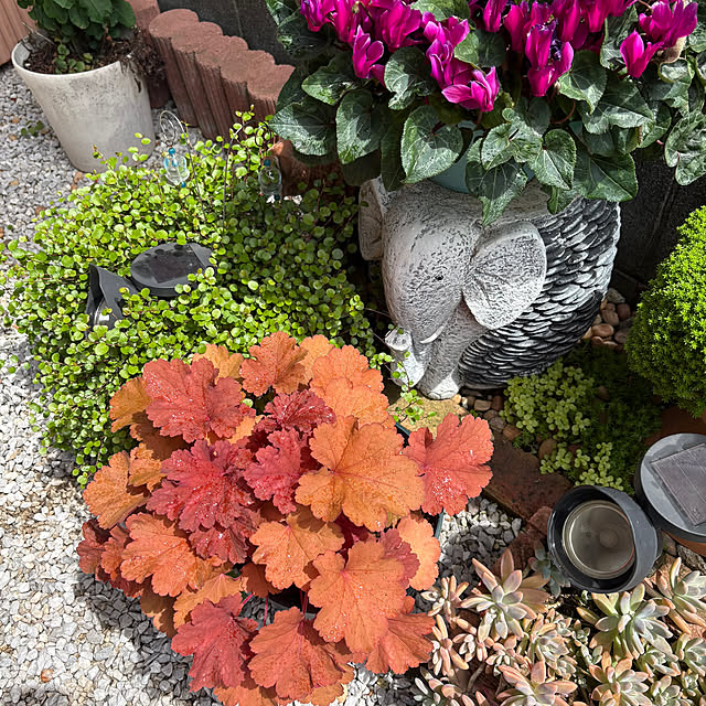 nannoさんの部屋