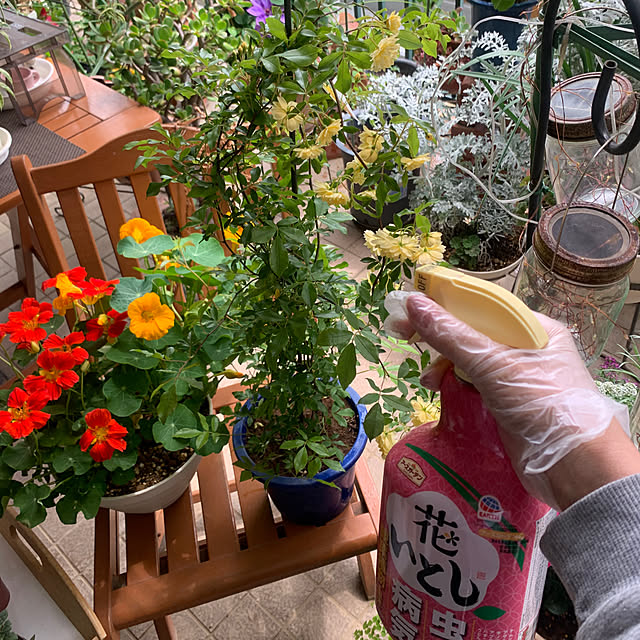 Aqettyさんの部屋