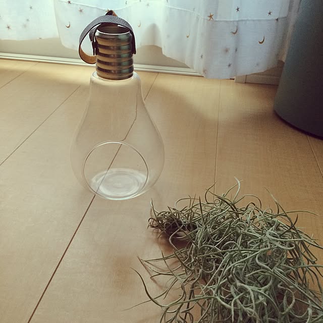 nomuさんの実例写真