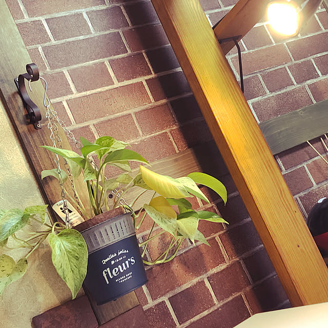 照明/DIY/RoomClipアンケート/観葉植物/カフェ風...などのインテリア実例 - 2022-01-19 15:54:19