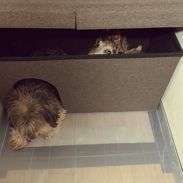 kazuさんの実例写真