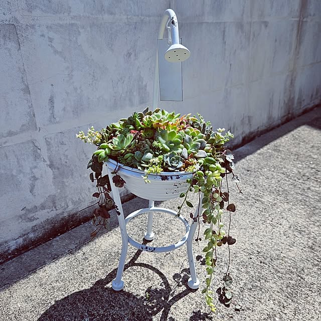 mocomocoさんの部屋