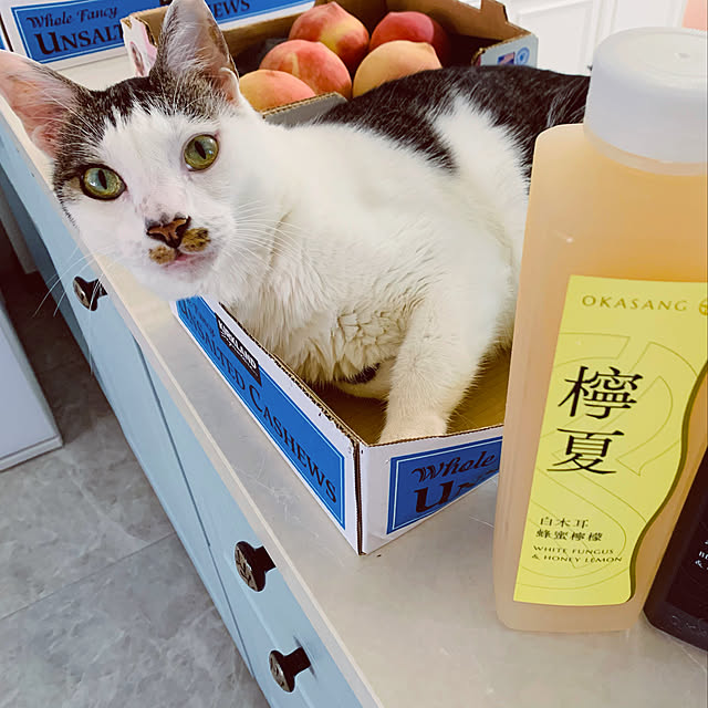 pcu110さんの実例写真