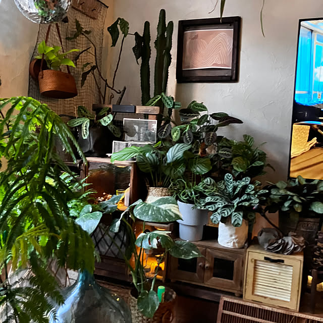 ganchan_0910さんの実例写真