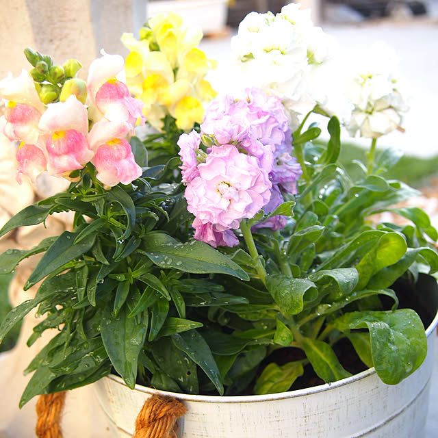 nekotaさんの部屋