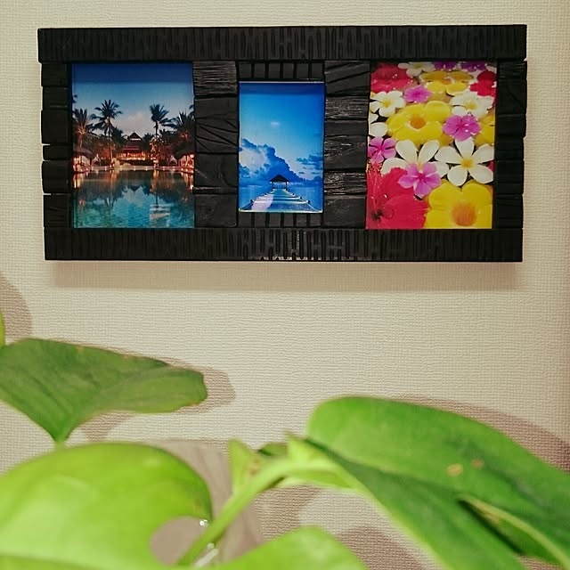 tonchiさんの実例写真