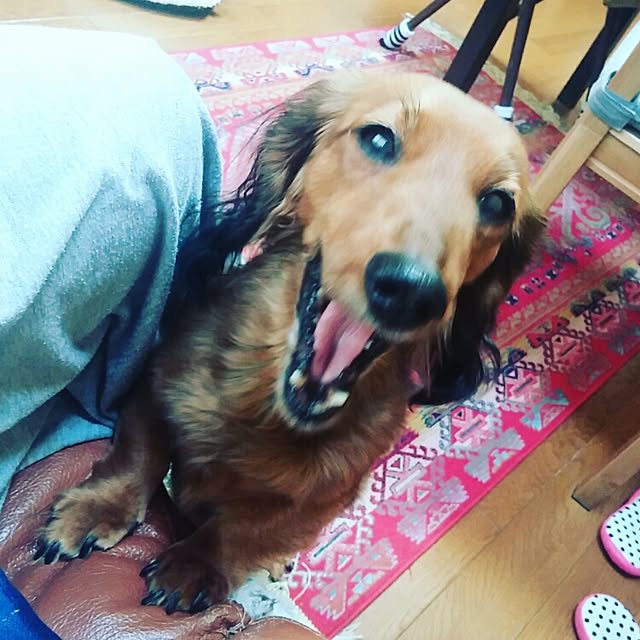 kanchanさんの実例写真