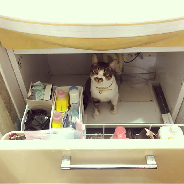 jijiさんの実例写真