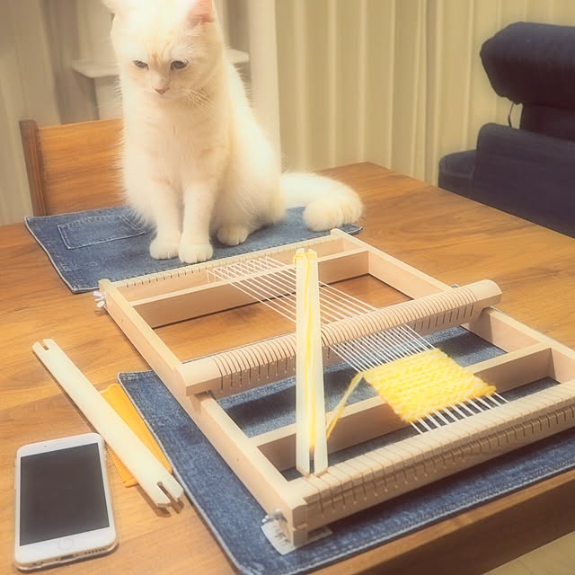 y.k.0123さんの実例写真