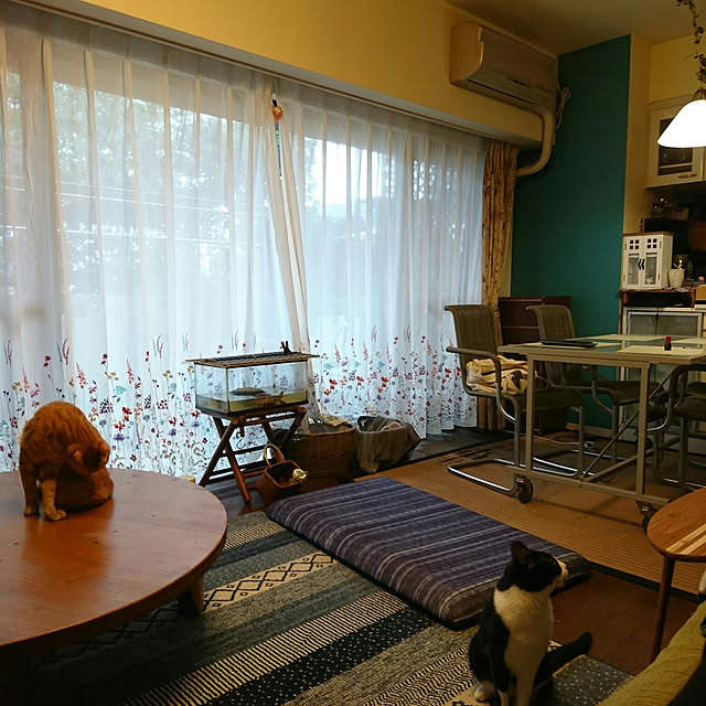 okyosan101さんの実例写真