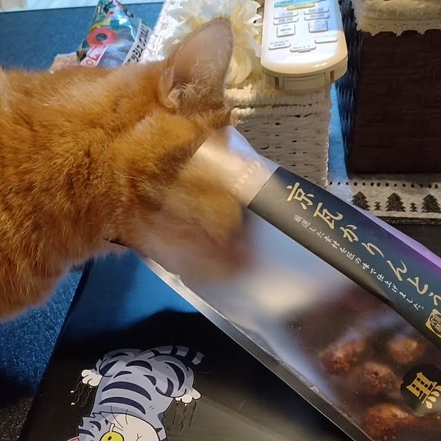 runaさんの部屋
