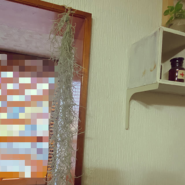 uruさんの実例写真