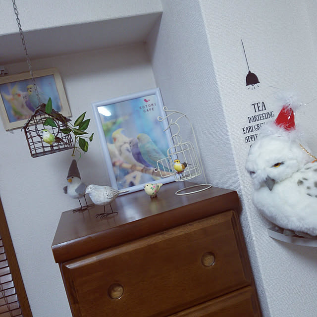 mikamonさんの実例写真